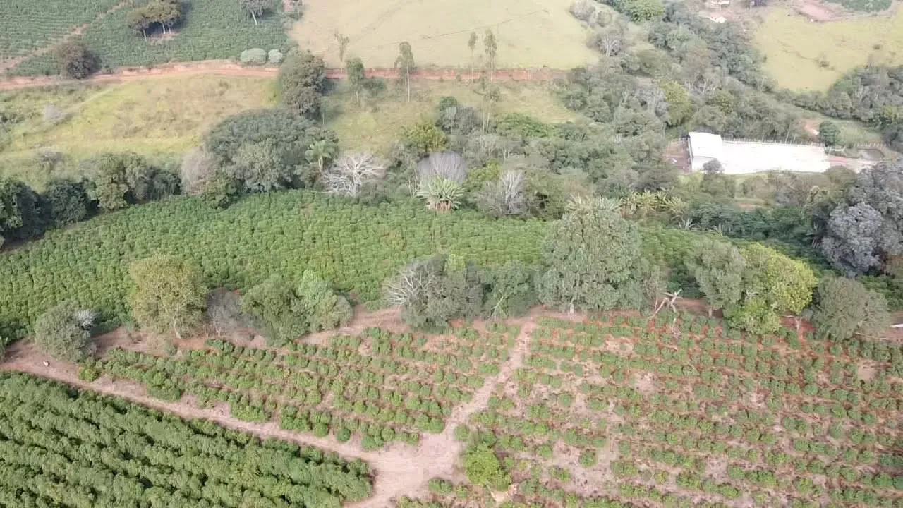 Imagem Sítio 3,63 ha à venda em Primos, Campestre