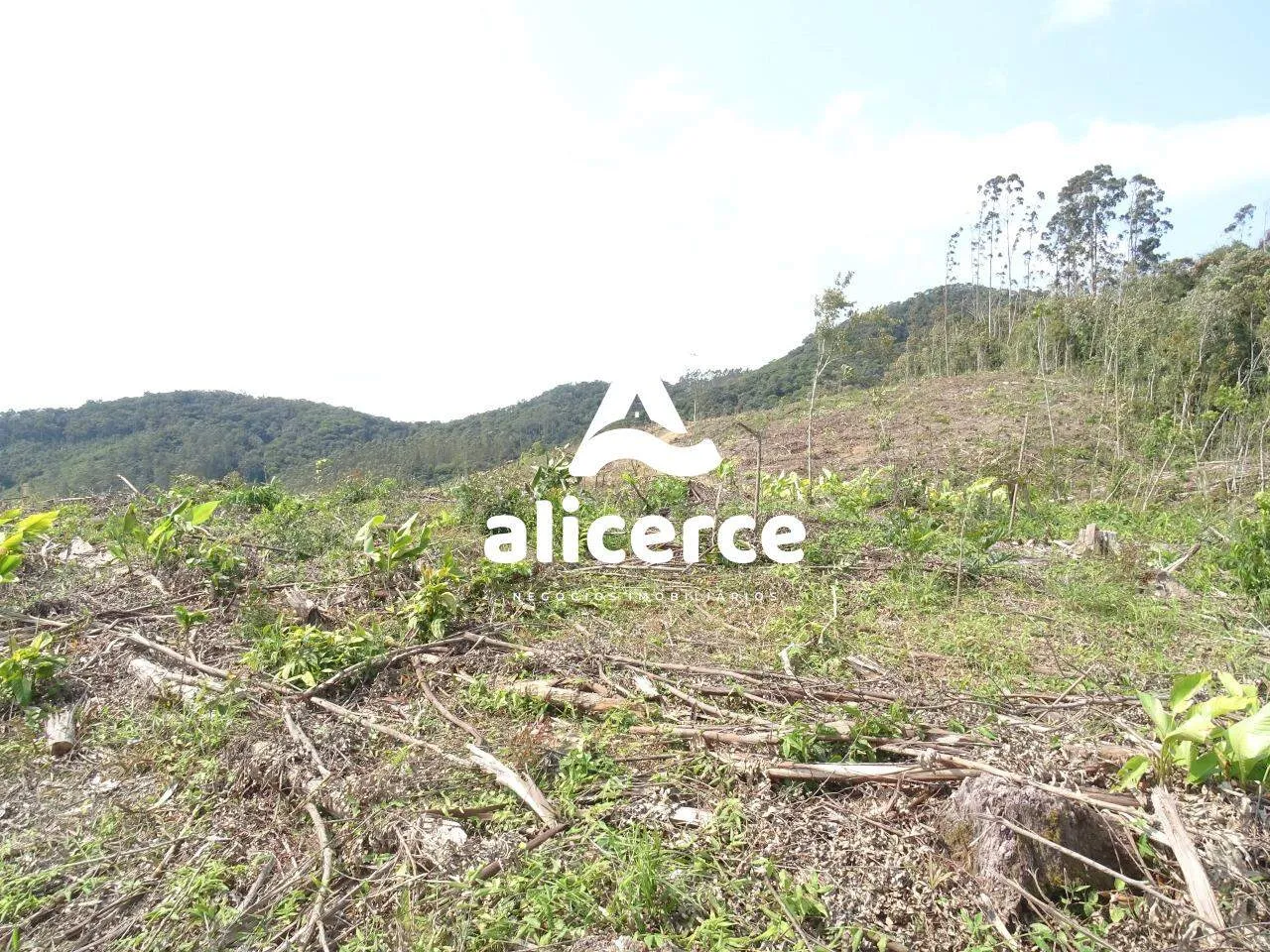 Imagem Área à venda com , 188.382m² em Área Rural de Biguaçu Biguaçu