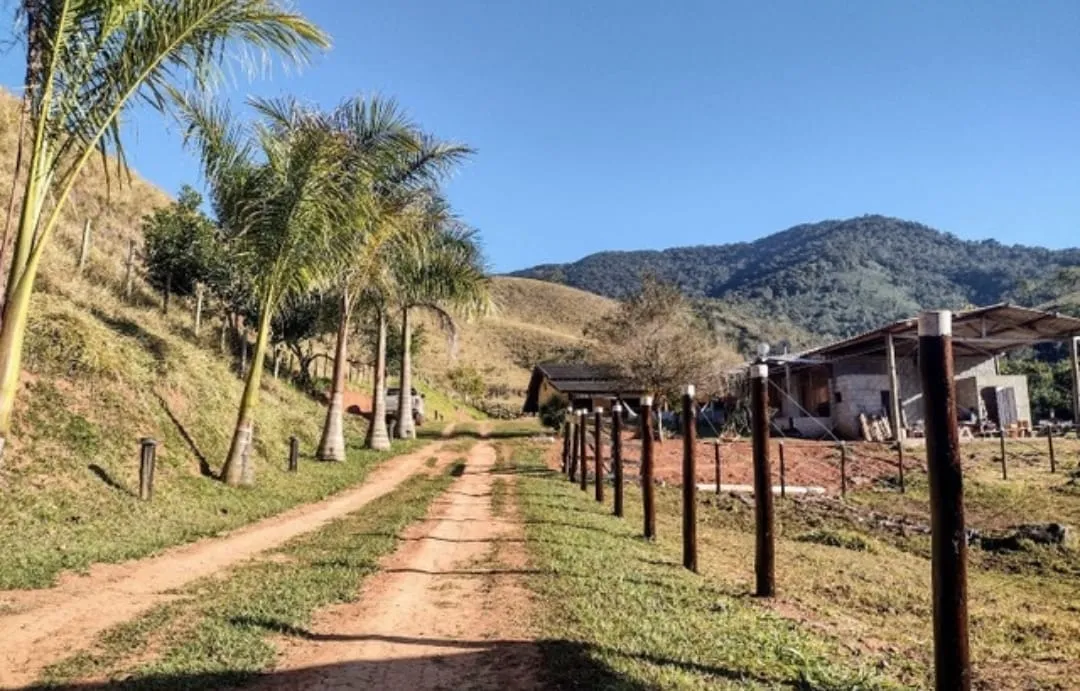 Imagem Chácara à venda 3 Quartos, 1 Suite, 139000M², Centro, Monteiro Lobato - SP