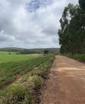 Imagem Incrível Fazenda Oliveira MG 280 hectares!