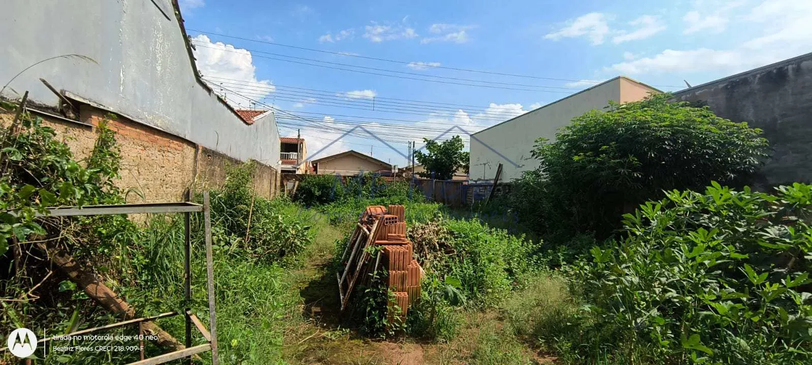 Imagem Terreno Padrão