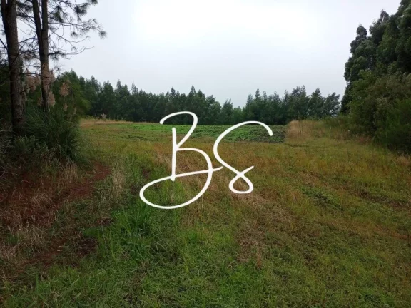 Imagem SITIO RURAL em SANTA MARIA DO HERVAL - RS, Alto Padre Eterno