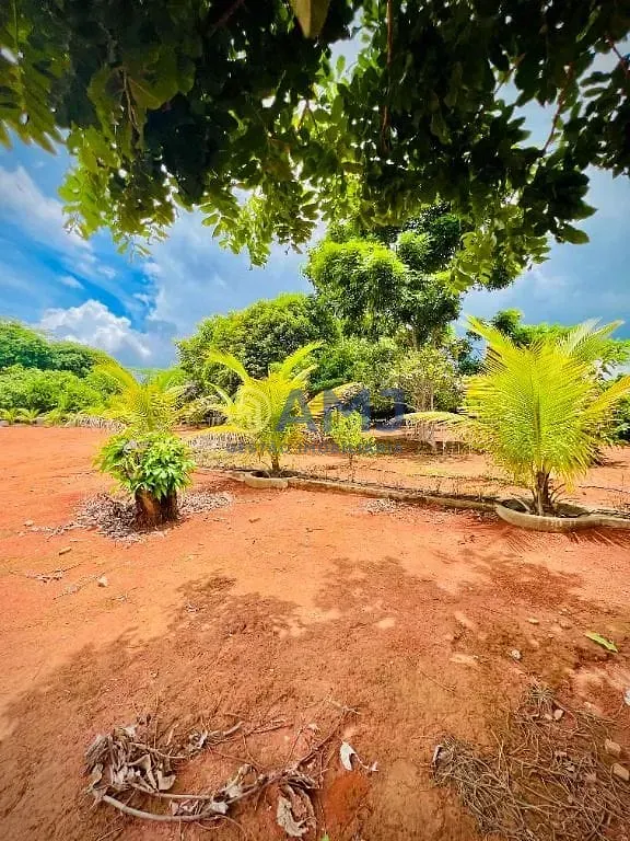 Imagem Entre a Sofisticação e o Verde: Viva com Privacidade e Conveniência no Condomínio Alto da Boa Vista
