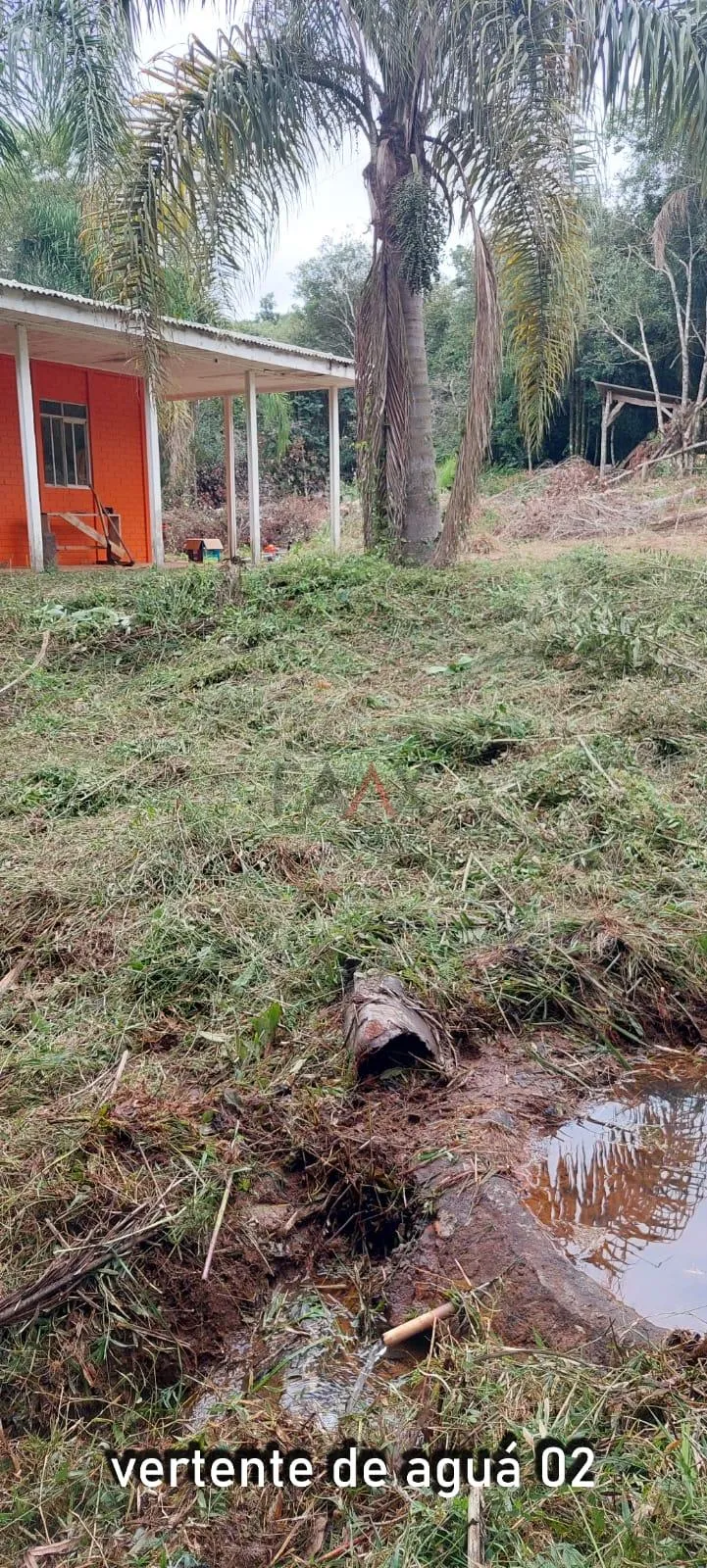Imagem Chácara com 2 dormitórios à venda,60500.00 m , Guabiroba, GUARAPUAVA - PR