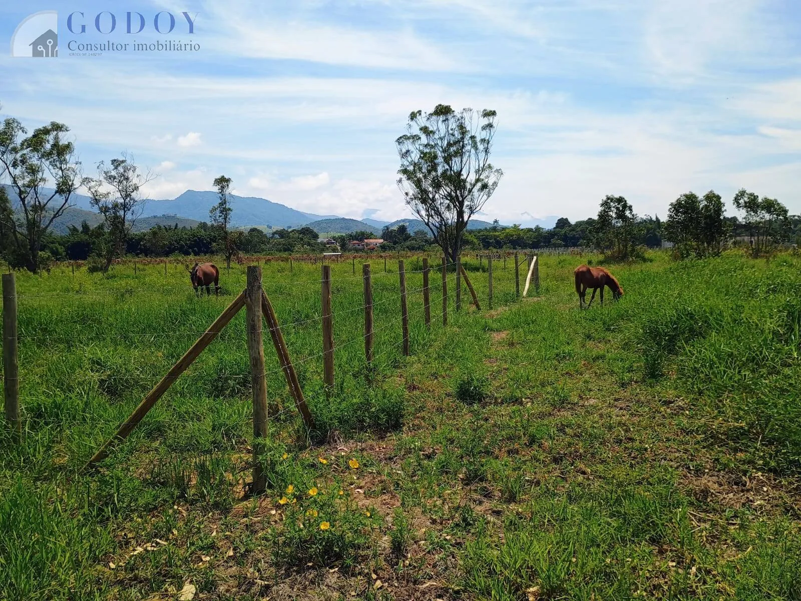 Imagem Terreno de 3.000 m² no Bairro Mandu - Excelente Localização!