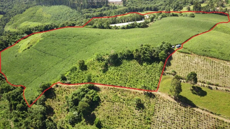 Imagem Área Agrícola para Venda em Ipumirim, Rural