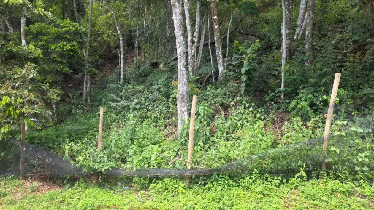 Imagem Terreno para Venda em Teresópolis / RJ no bairro Golfe