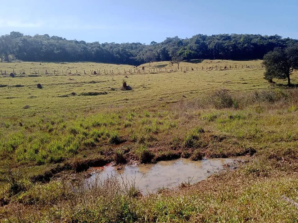 Imagem Venda de Fazenda em Crucilândia 48 hectares de terra