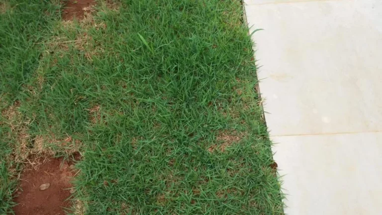 Imagem Linda casa a venda no condomínio Riviera de Santa Cristina III