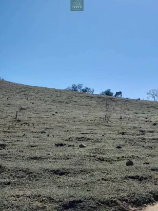 Imagem Terreno incrível para criação de animais e plantio