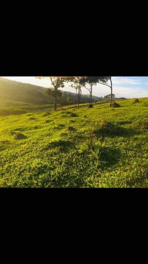 Imagem Terreno à Venda em Piedade dos Gerais / MG 15 hectares de área total