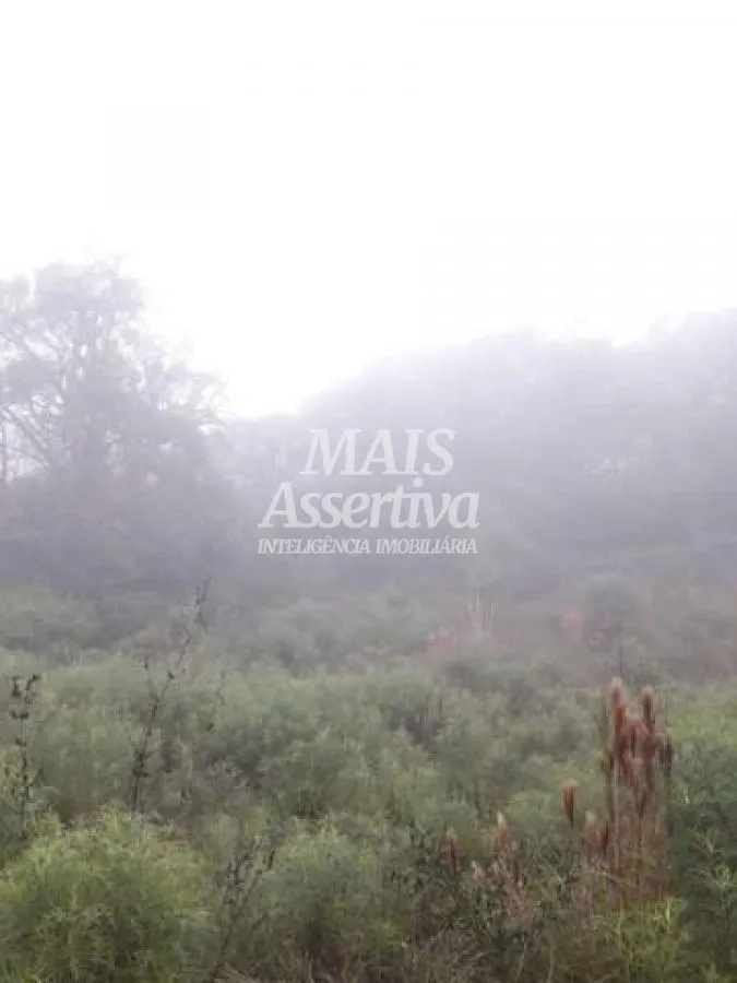 Imagem Sítio para Venda em Rolante / RS no bairro Morro Da Figueira
