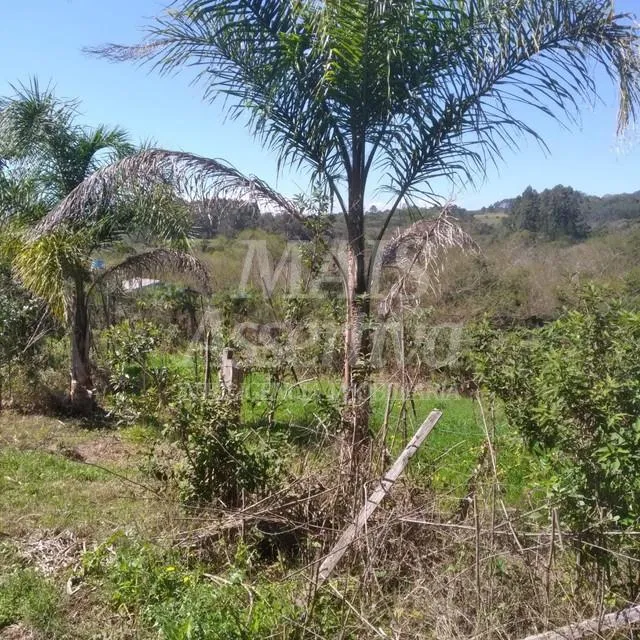 Imagem Terreno para venda de 1700m², Santa Cruz da Concórdia em Taquara/RS.