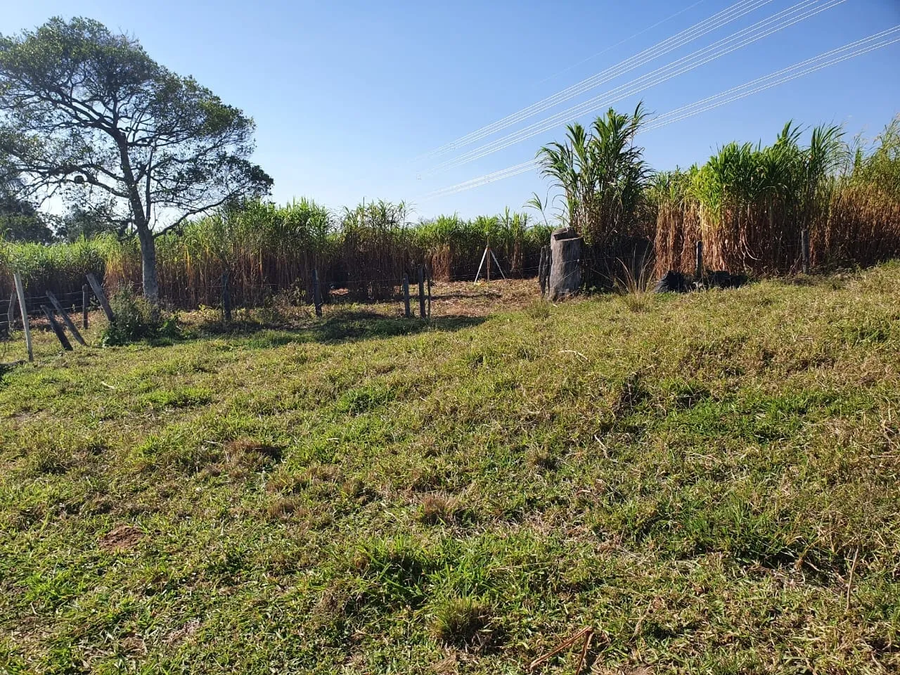 Imagem Chácara à venda 2 Quartos, 50000M², Zona Rural, Potim - SP