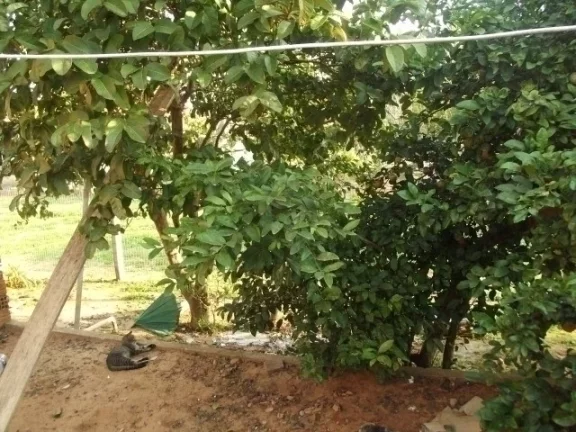 Imagem Terreno com Casa simples, centro de Águas Claras, Viamão