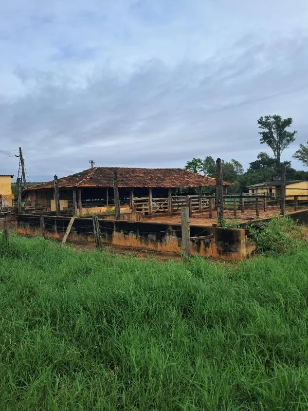 Imagem FAZENDA a venda 95ha em CURVELO/MG