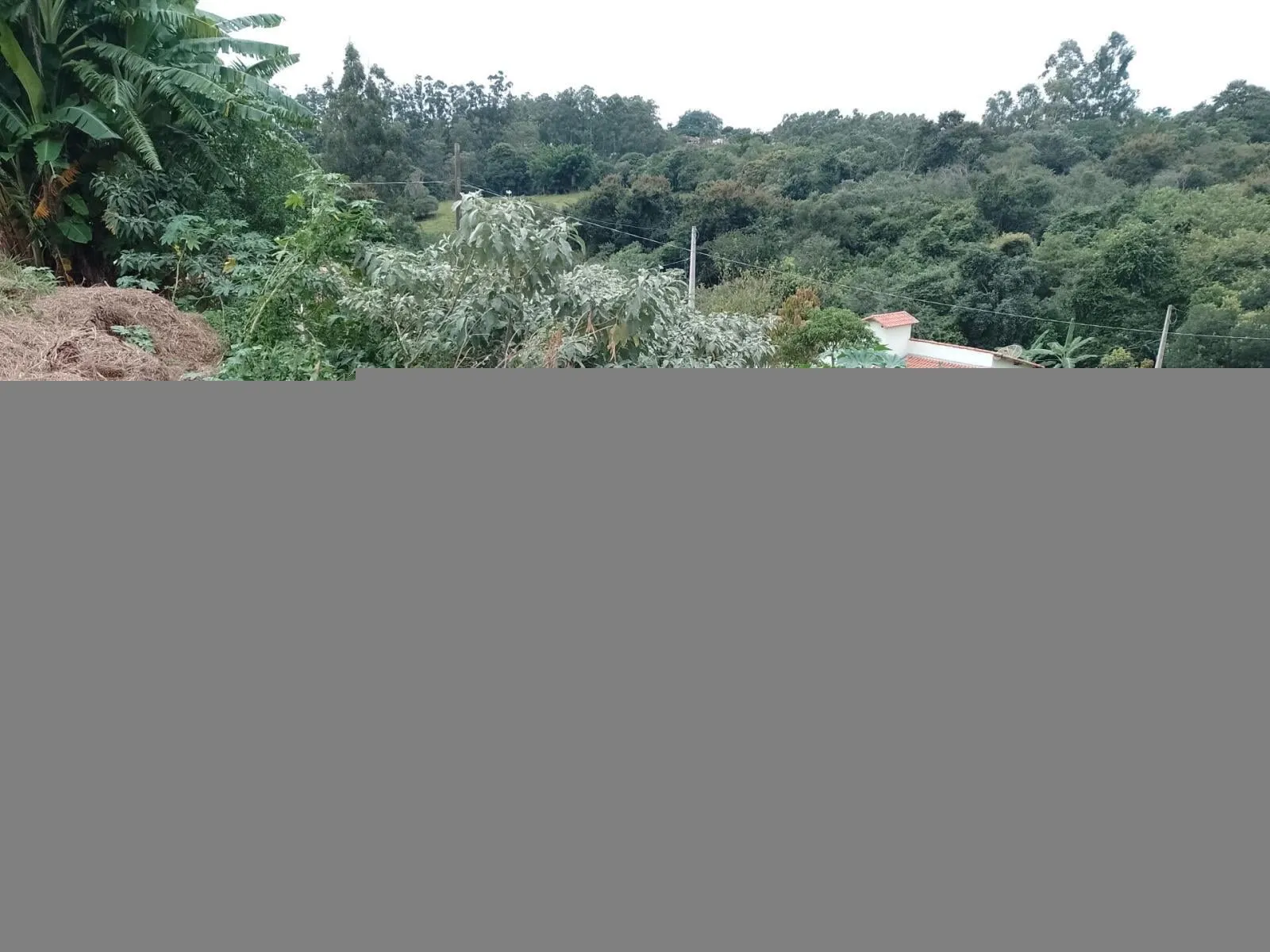 Imagem Terreno à venda no bairro Bairro Dos Souza em Tatuí/SP