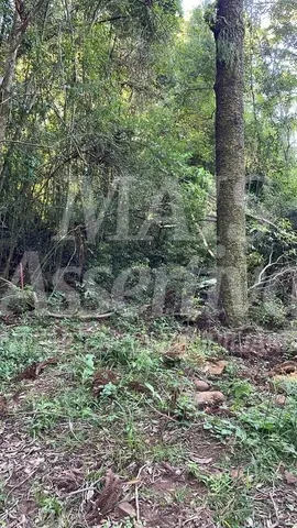 Foto do imóvel Área para venda em Taquara, Fazenda Fialho - 4.300m²