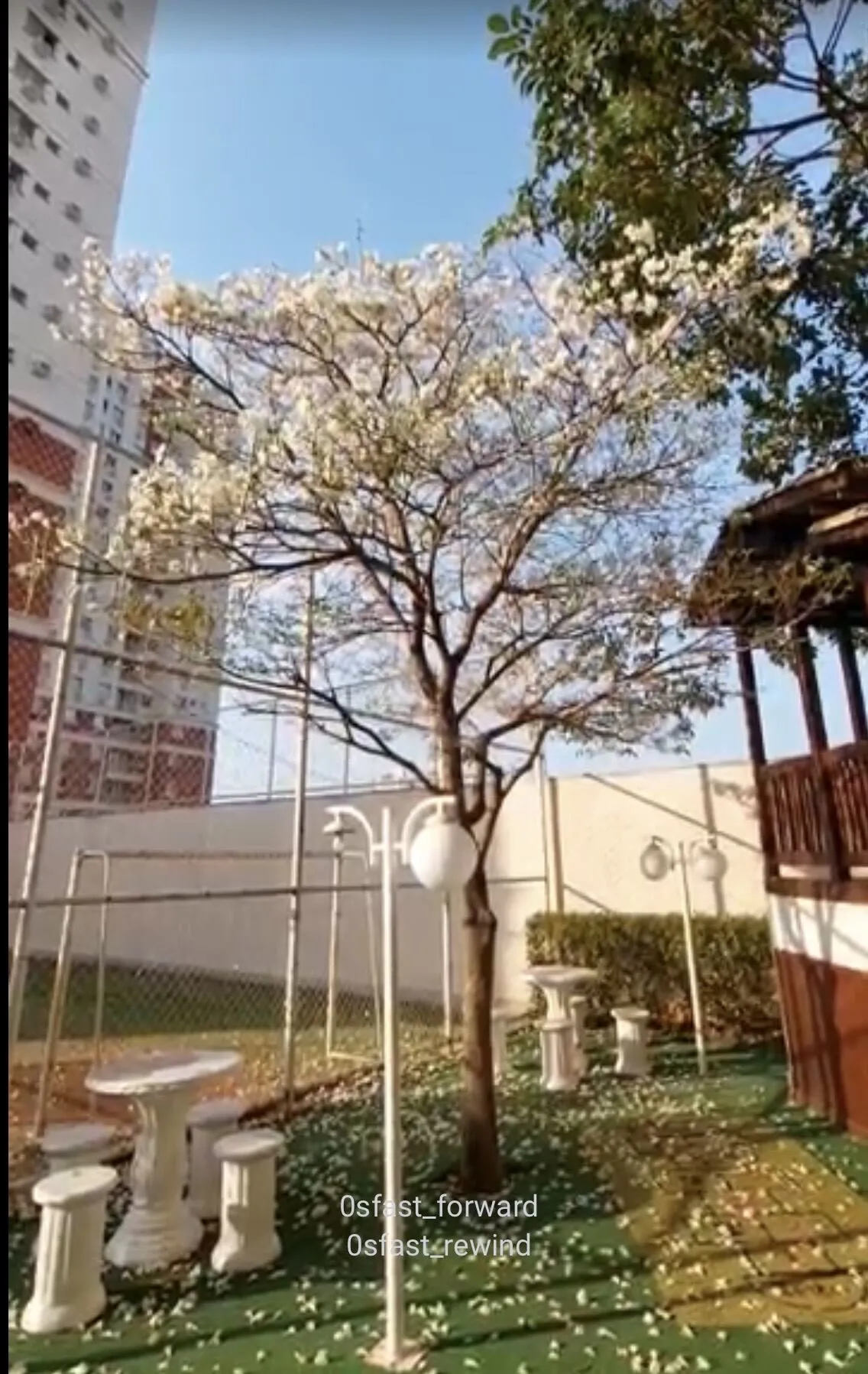 Imagem Apartamento 03 Quartos, 1 Suíte, Condomínio Garden 3 Américas