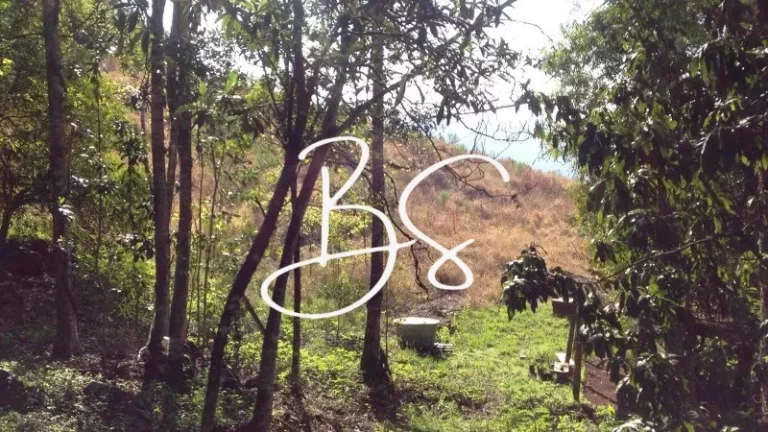 Imagem SITIO RURAL em NOVA PETRÓPOLIS - RS, Linha Pirajá Baixa