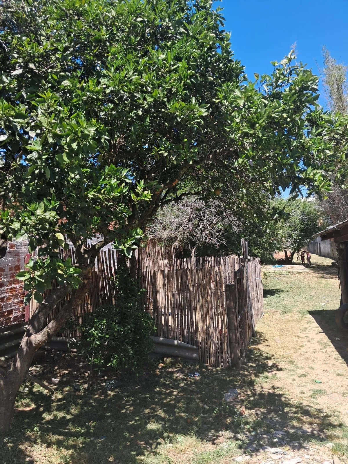 Imagem Terreno 11x160 com 2 casas