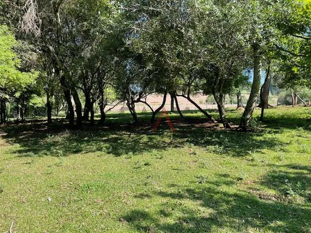 Imagem Chácara com 2,763 alqueires à venda na PALMEIRINHA em GUARAPUAVA - PR