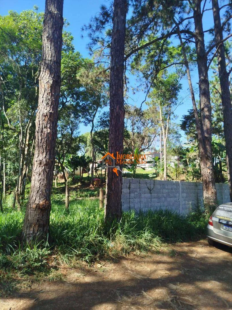 Imagem Terreno à venda, 3.068m² por R$ 212.000 - Parque Santos Dumont - Guarulhos/SP