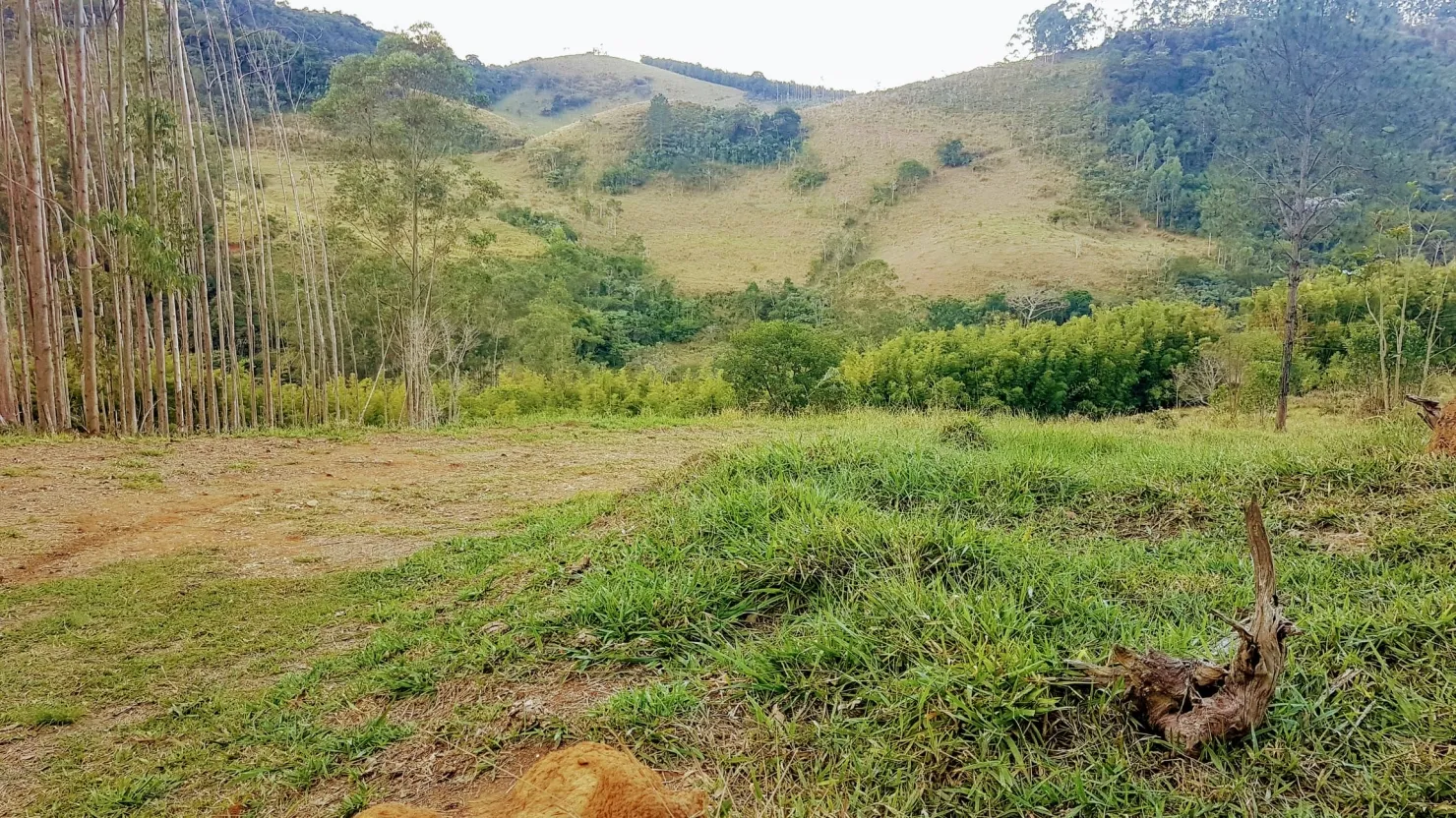 Imagem Chácara à venda 1 Quarto, 110000.25M², Água Preta, Pindamonhangaba - SP