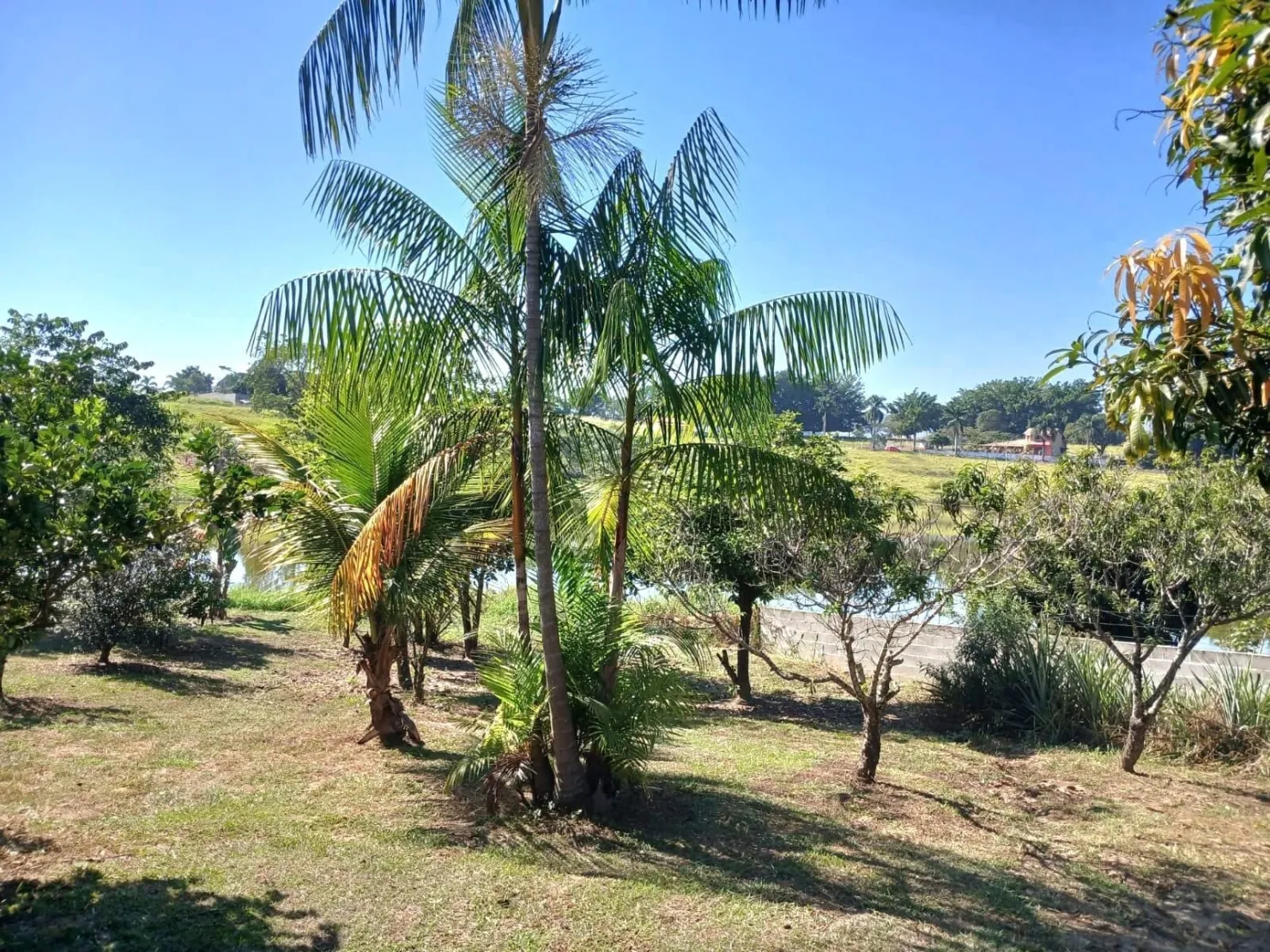 Imagem Chácara à venda e locação 3 Quartos, 3950M², Goiabal, Pindamonhangaba - SP