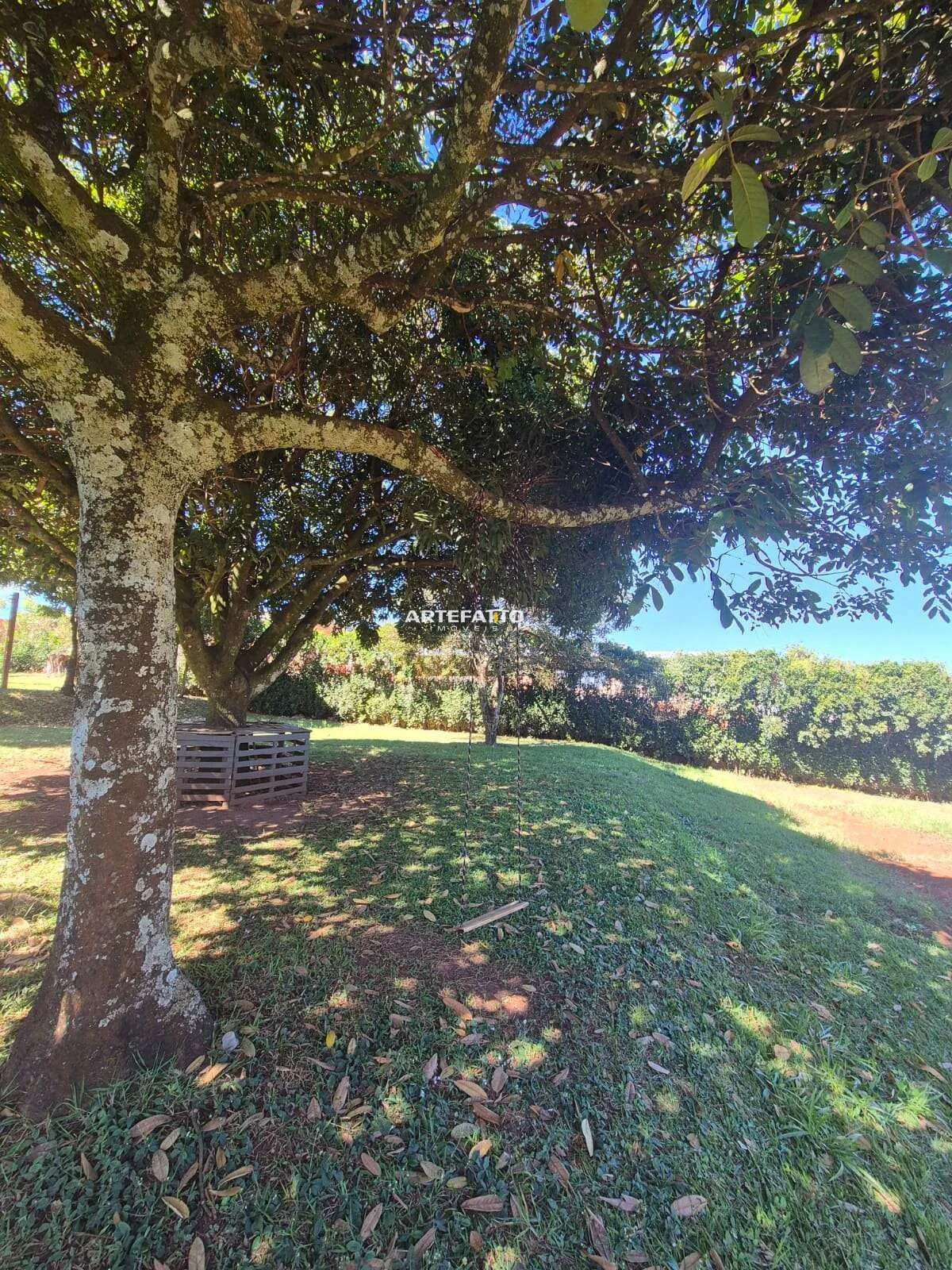 Imagem Chácara com Escritura à Venda em Franca/SP - 5.000 m2, Saída Ibiraci KM 4