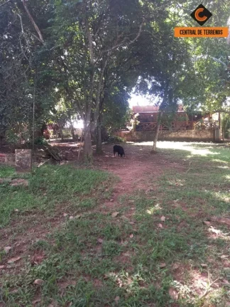 Imagem SÍTIO EM ABRANTES