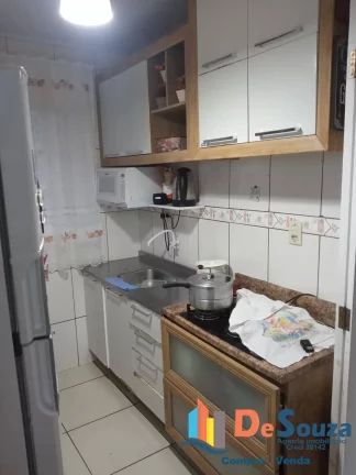 Imagem Vizinho o Ano Inteiro