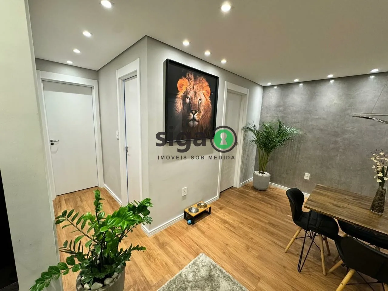 Imagem Apartamento para venda no Morumbi 02 dormitório, São Paulo - SP