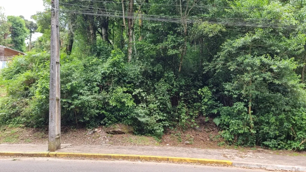 Imagem Terreno à venda em Gramado, Moura, 1027.65m2