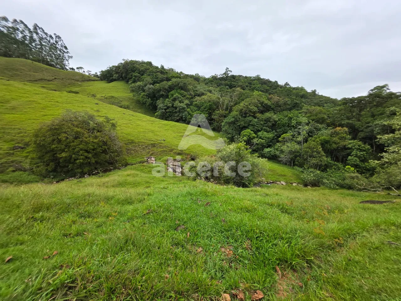 Imagem Sítio à venda em Antônio Carlos, SC, na Zona Rural - Morro da Gloria.