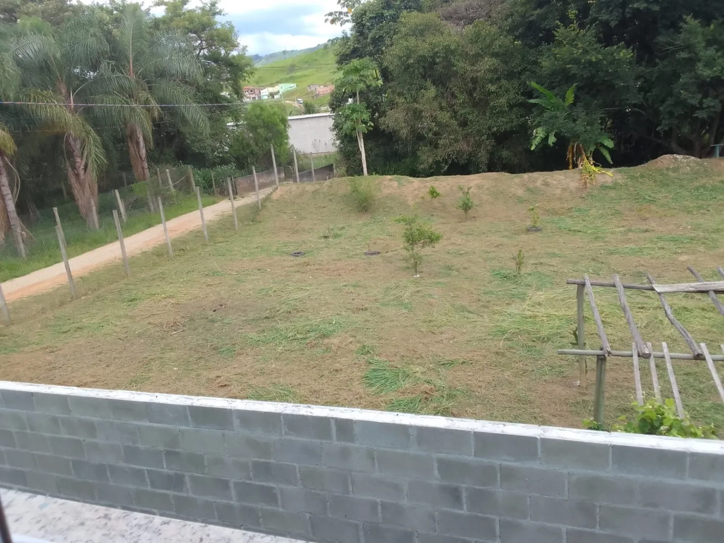 Imagem Casa à venda 4 Suites, 20 Vagas, Pedro Leme, Roseira - SP