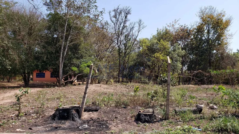 Imagem Terreno Padrão