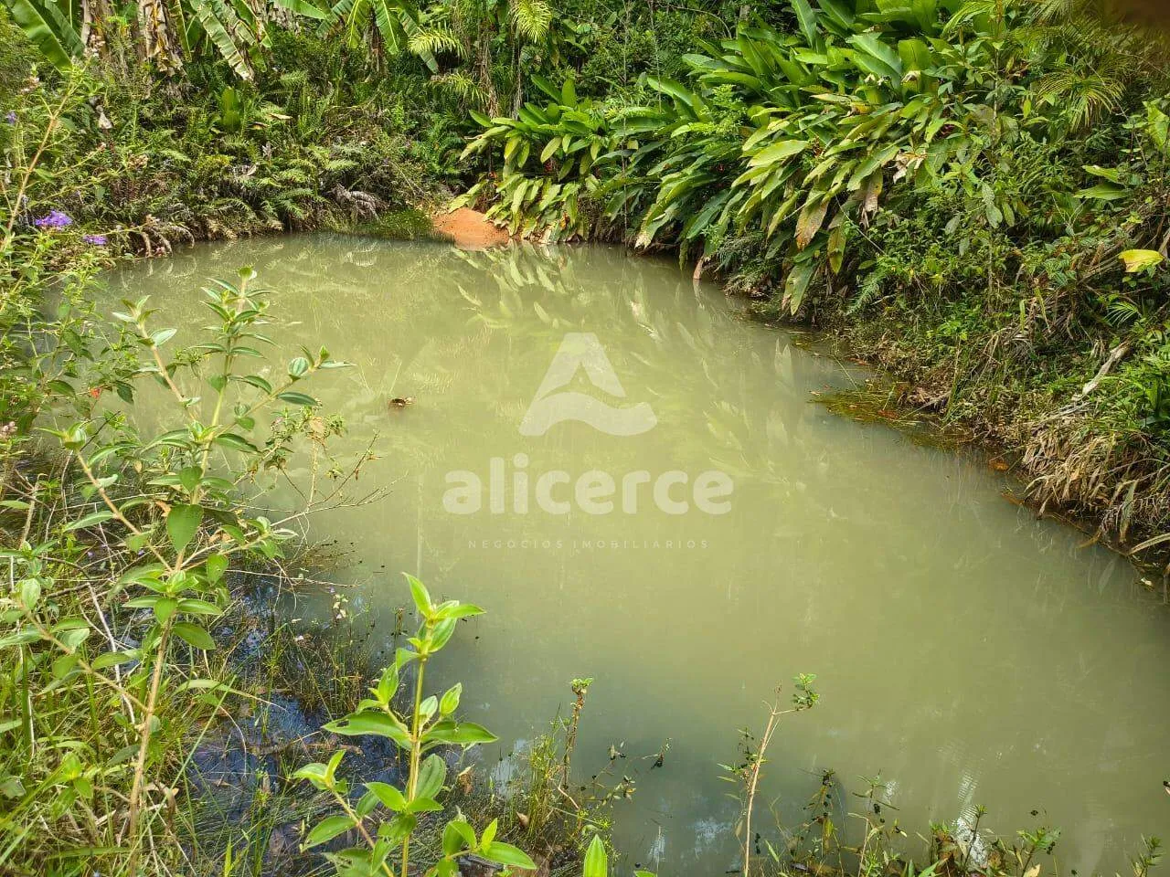 Imagem Sítio à venda com , 260.084m² em Área Rural de Biguaçu Biguaçu