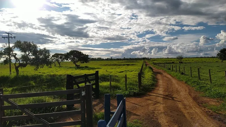 Chácara com 7 Quartos à Venda, 58.000 m² em Olhos  D'água  - Alexânia  - GO - Alexânia