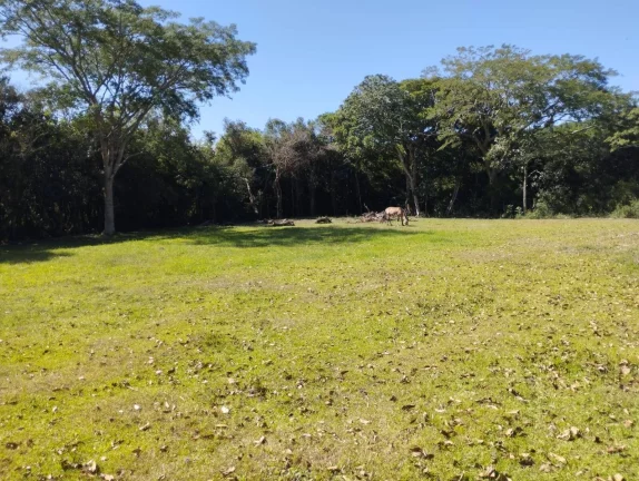 Imagem BAIXAMOS!!! Belo Sítio com 10.000m², Casa, Galpão, baias, açudes, piscina