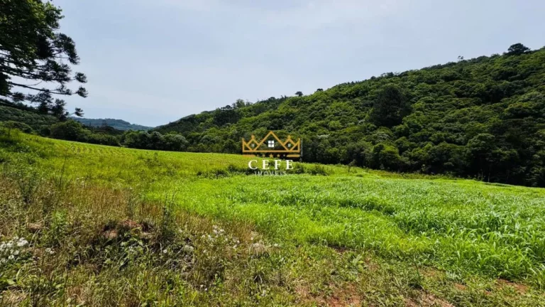 Imagem Chácara - Sítio com 3 Dormitorio(s) localizado(a) no bairro Serra Grande em Igrejinha / RIO GRANDE DO SUL Ref.:1594