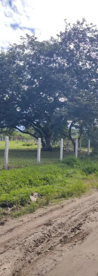 Imagem Terreno para Venda em Guapimirim / RJ no bairro Citrolândia