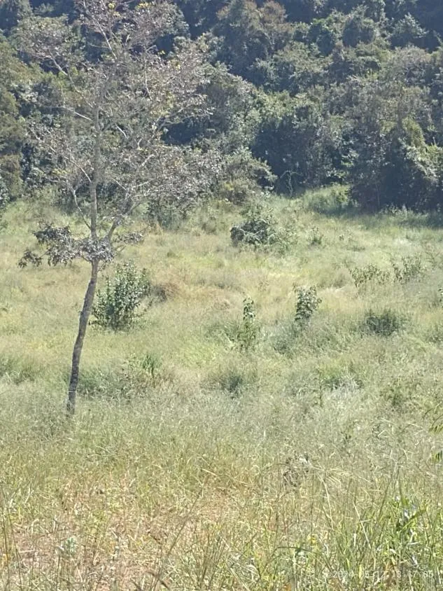 Imagem Ótima Oportunidade em Itaguara/MG: Terreno de 6 Hectares no Povoado Boa Vista