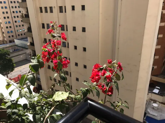 Imagem Apartamento com 1 Quarto à Venda, 44 m² em Indianópolis - São Paulo