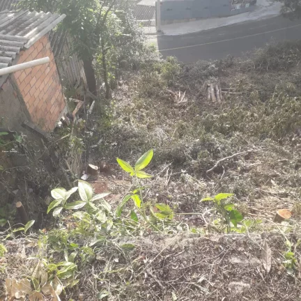 Imagem Terreno para Venda em Concórdia, Centro