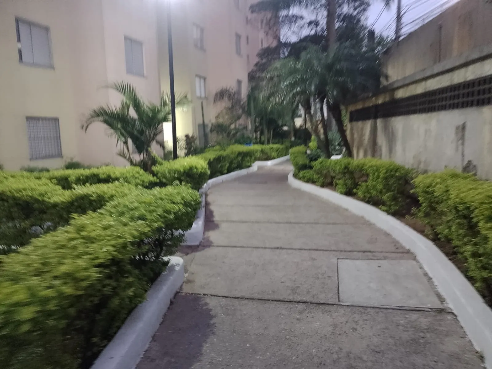 Imagem Apartamento à venda - Jardim Belém