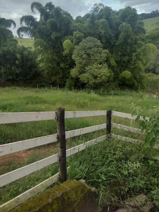 Imagem Excelente fazenda com 194 hectares de terra de cultura disponível para venda
