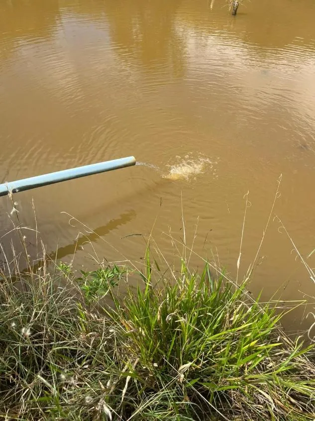 Imagem Terreno à Venda em São Domingos do Prata/MG com 25,5 hectares de terra