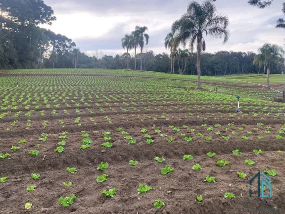 Foto do imóvel Terreno LIMPO plano 21.000 mil m², a venda no Umbará em Curitiba - PR