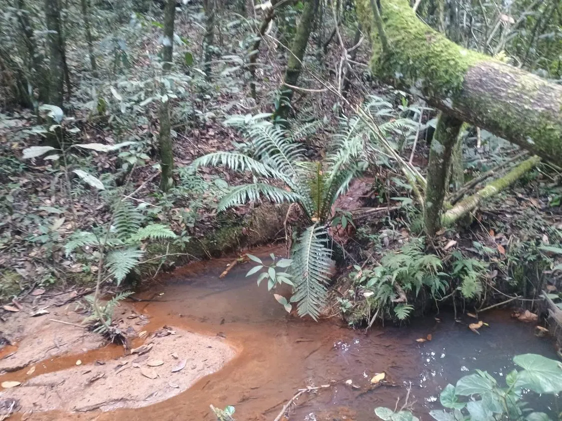 Imagem Excelente terreno rural com área de 10 hectares a venda em PASSA TEMPO/MG